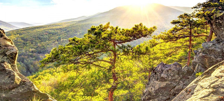 Конкурс «Природа Краснодарского края, 2023»