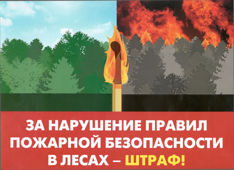Увеличение административного наказания за нарушение правил пожарной безопасности