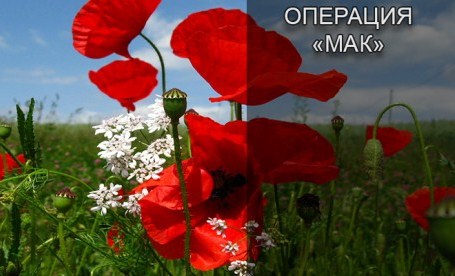 Операция «Мак»